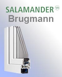 SALAMANDER BRUGMANN